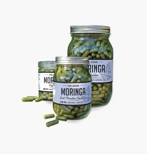 Organic Moringa Capsules Curaçao