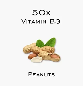 Moringa compared to peanuts Moringa compared to peanuts considering vitamin B3